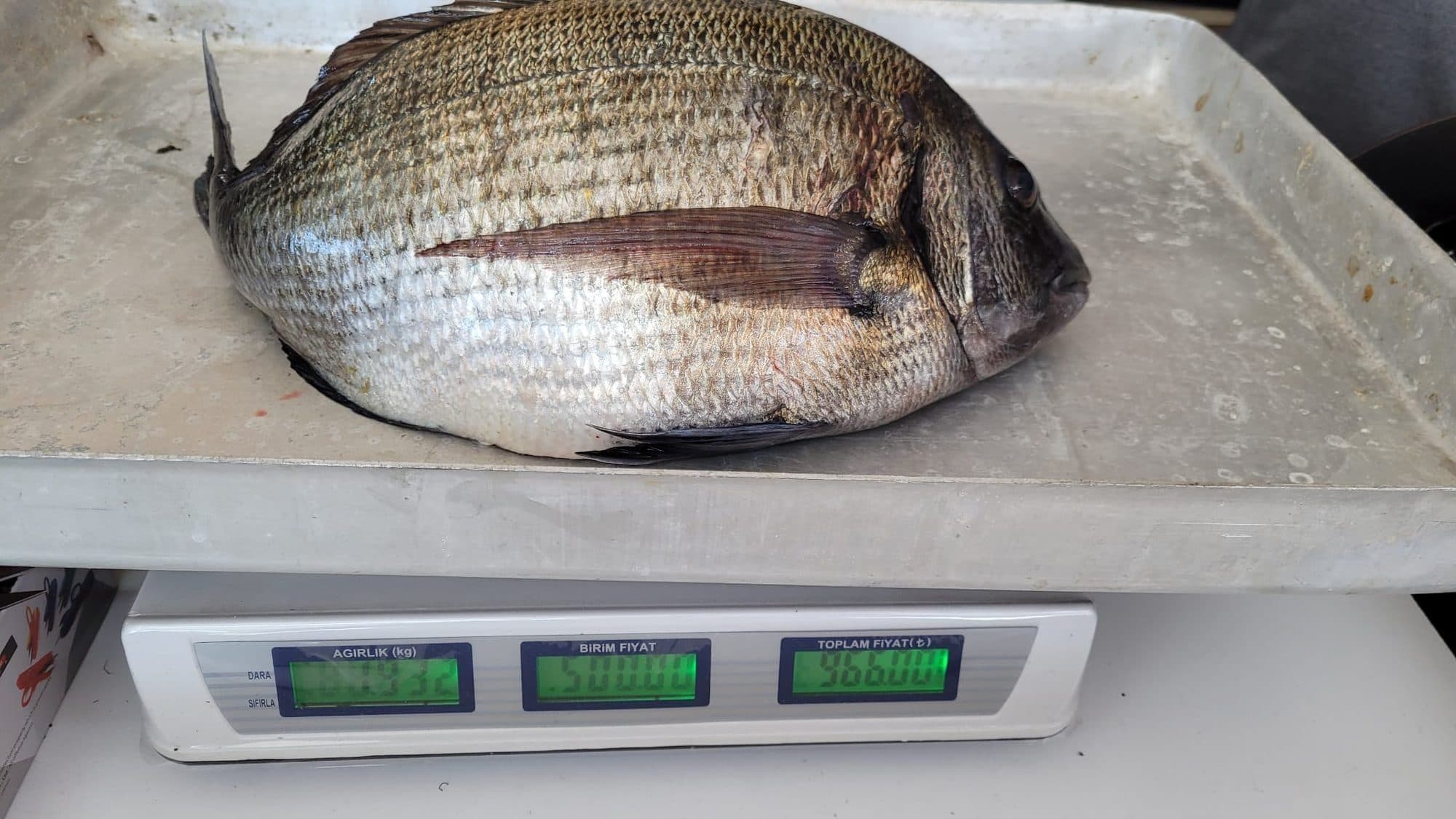 canliyemmarket.com (satın alma odaklı seri) canliyemmarket.com (satın alma odaklı seri)